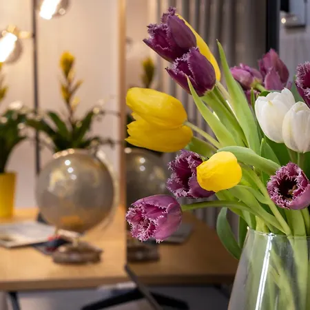 Apartman Ducrot Palermo